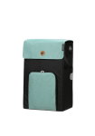 IPEK IB | mint