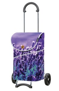 Scala Shopper® MIX | A49