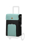 IPEK IB | mint